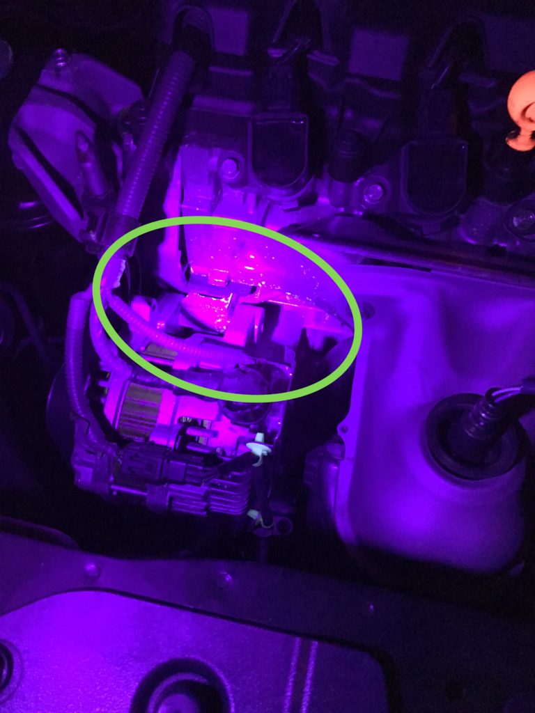 Img 4027 how to prevent rats from eating your car wires